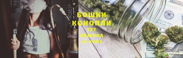 стаф Волосово
