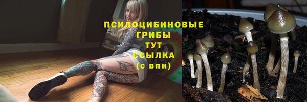 мяу мяу мука Лихославль