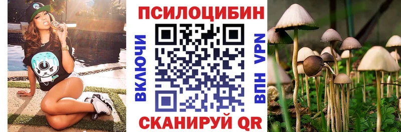 omg ONION  Николаевск-на-Амуре  Галлюциногенные грибы Cubensis 