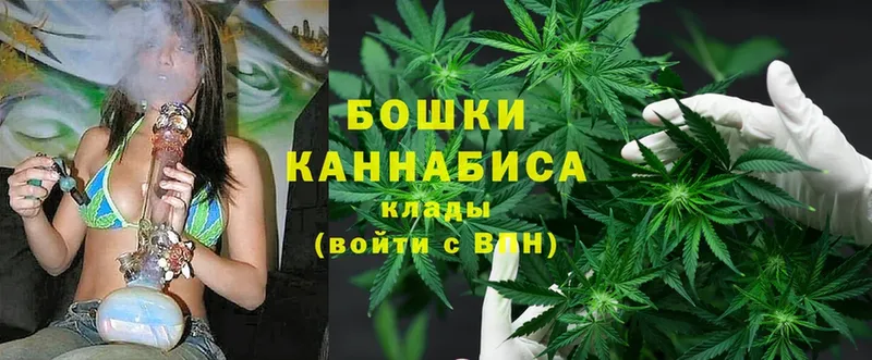 сколько стоит  Николаевск-на-Амуре  Шишки марихуана THC 21% 